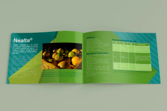 design a flyer for your business