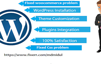 do wordpress customization for you