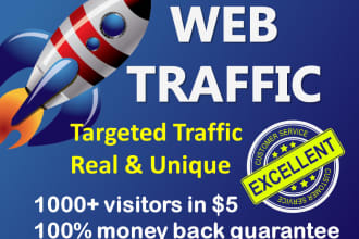 provide targeted daily web traffic
