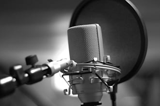 provide hindi voice over