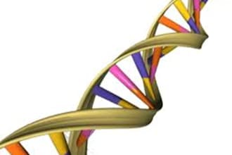answer any Chemistry, Science or Biology question from your high school curriculum