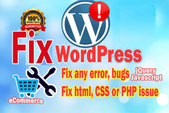 fix wordpress issues errors bugs or update your website