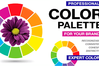 create professional color palette for your brand, website, social media