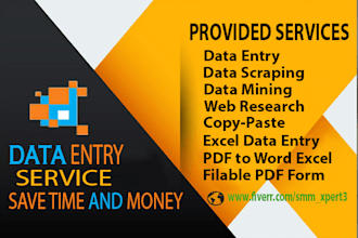do data entry, web research, excel work for you