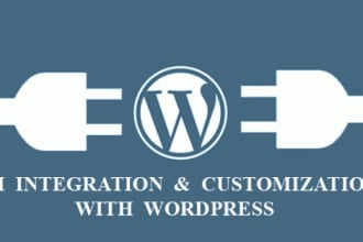 api integration in wordpress