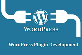do custom integrations with woocoomerce or wordpress plugins