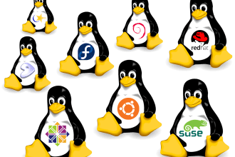 linux server management, vps, dedicated and cloud solutions