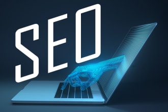 do on page SEO optimization for the wordpress website
