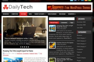create highly professional WordPress blog