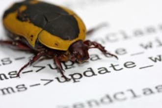 fix your bugs