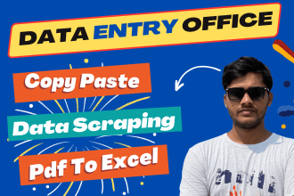 data entry, copy paste, excel, and typing work with my team