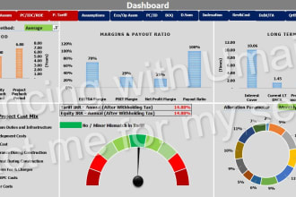make financial projections, dashboards, equity reports