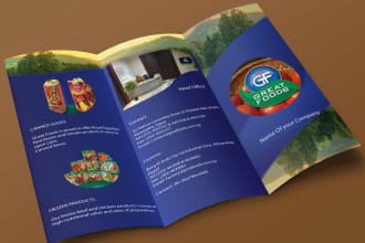 design amazing corporate brochure or flyer for you