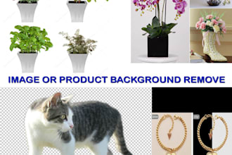 remove image background and any photoshop work
