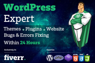 fix wordpress issues, widgets, plugins or do custom work