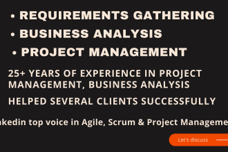 do requirements gathering, business analysis, IT project management