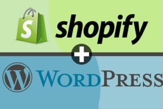 setup and install wordpress or shopify store