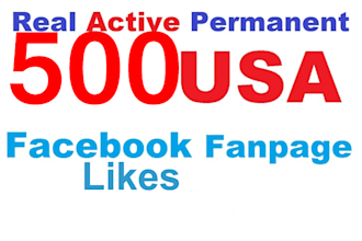 add 500 usa permanent facebook likes