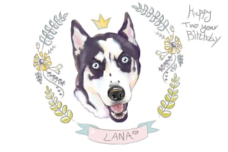make a fabulous drawing of your pets