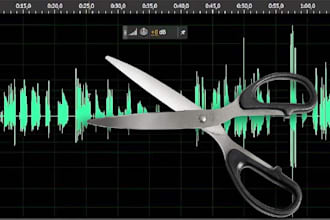 cut audio or video