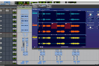 time edit and vocalign your vocals