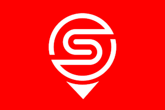 design super professional logo