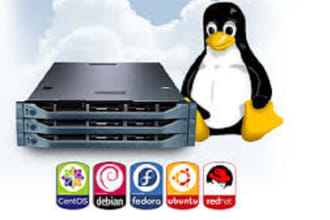 linux server setup,cpanel,wordpress,apache,postfix etc