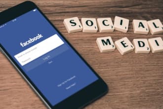 create professional social media accounts for you