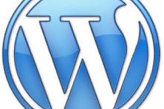 customize Wordpress, fix Wordpress error, edit theme,template or css