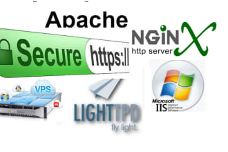 setup SSL and secure website