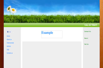 give you access to a professional website builder and logo maker