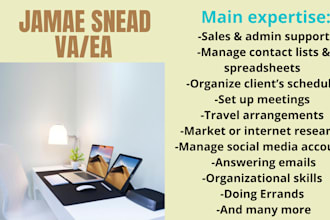 do admin and sales support as your VA