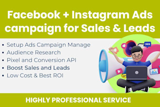 set up facebook instagram ads campaign for sales and leads