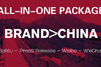 make complete chinese brand marketing package baidu weibo wechat