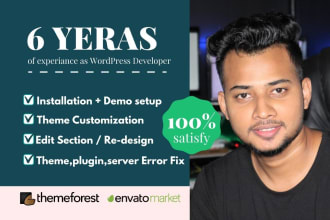 do wordpress customization,themeforest theme setup, editing, error fix