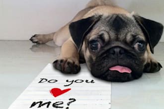 take picture of my adorable pug with your message