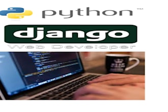 tutor and do projects on web programming using python