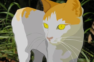 vectorize your photo