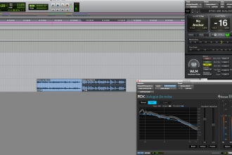 do audio cleanup, noise removal, and levels