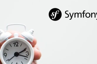 fix bugs and develop projects in symfony