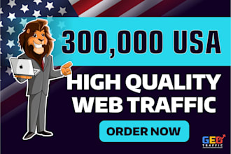 send 300,000 USA traffic, website visitors, from search engines