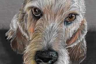 paint a digital pet portrait