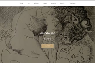 create your professional, administrable, art web portfolio