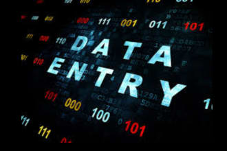 data entry,web search,data mining,data scrapping