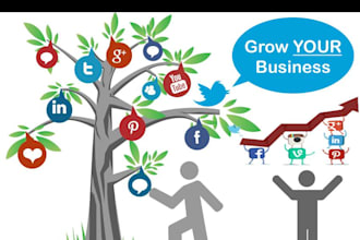 be your professional social media manger