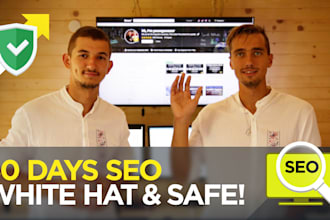 run 30 days SEO campaign, higher traffic and rankings
