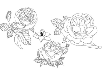 create botanical line art illustration, flower, hand drawn illustration