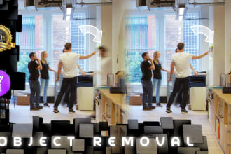 do object removal editing within 24 hours
