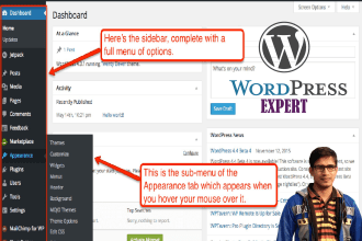 do professional wordpress data entry