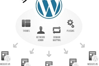 create or enable WordPress multisite network feature for you